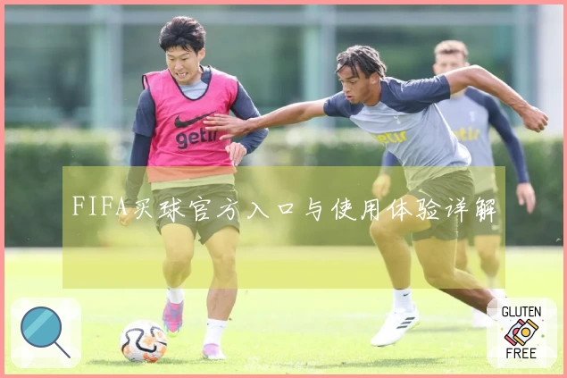 FIFA买球官方入口与使用体验详解