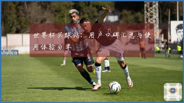 世界杯买球站：用户口碑汇总与使用体验分享