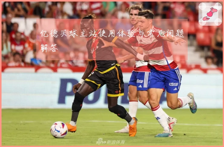 亿德买球主站使用体验与常见问题解答