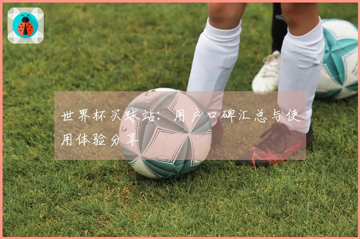 世界杯买球站：用户口碑汇总与使用体验分享