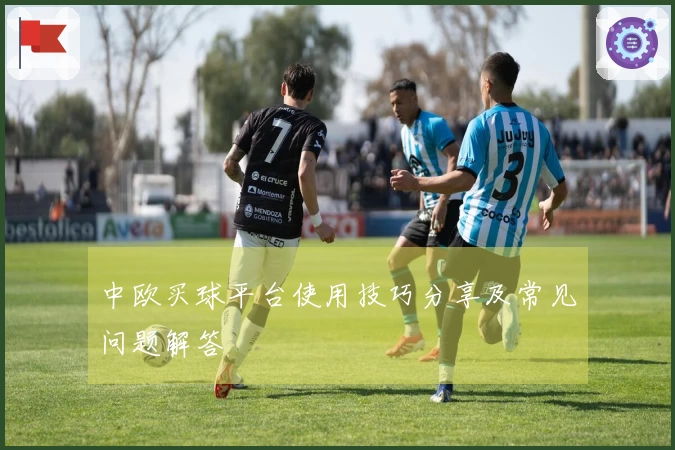 中欧买球平台使用技巧分享及常见问题解答