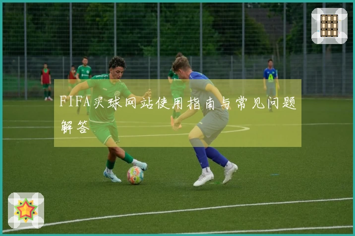 FIFA买球网站使用指南与常见问题解答